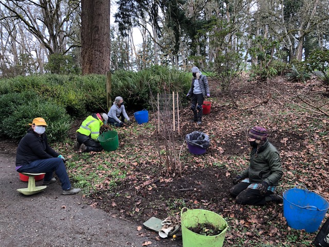 Volunteer Update for 21 February 2019